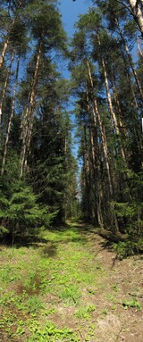 �����������, 25 ������ 2008