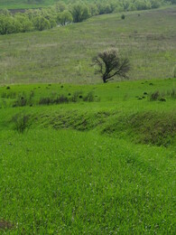 �������� �������, 3 ��� 2008