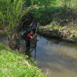 �������� �������, 3 ��� 2008