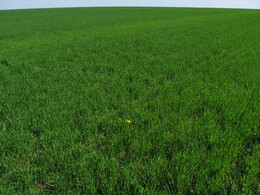 ���� � ���������� ������, �����������, 3 ��� 2008