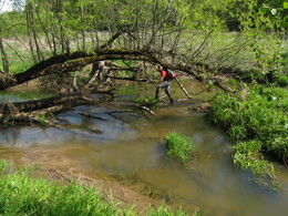 �����������, 16 ��� 2008