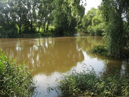 ����� ������� ������ � �����, �����������, 23 ���� 2008