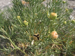 �����, 21 ������� 2008