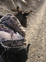 �����, 21 ������� 2008