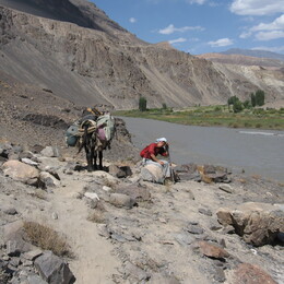 ���� �������, �����, 22 ������� 2008