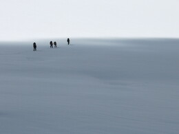 �����, 28 ������� 2008