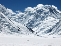 �������� ������� ��������, �����, 29 ������� 2008