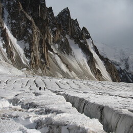 ������ ���������, �����, 29 ������� 2008