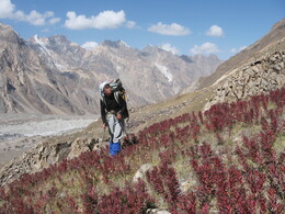 ������ ���� ���������, �����, 30 ������� 2008