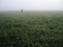 �����������, 28 �������� 2008