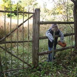 �����������, 28 �������� 2008