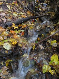 �����������, 5 ������� 2008