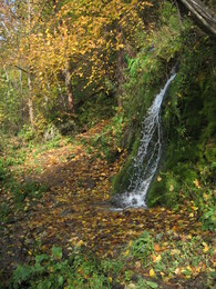 �����������, 5 ������� 2008