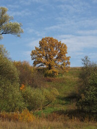 �����������, 5 ������� 2008