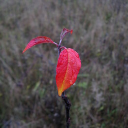 ������, 2 ������ 2008