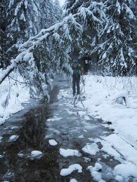 �����������, 13 ������� 2008