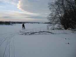 �����������, 20 ������� 2008