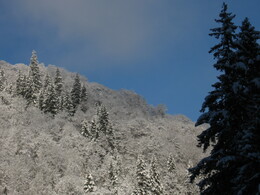 ������, 8 ������ 2009