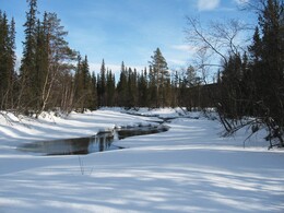 ������, 16 ����� 2009