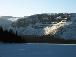 ��������, 17 ����� 2009