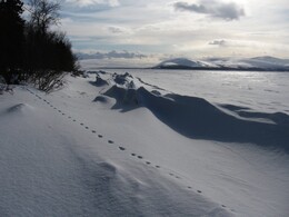 ����� ��������, ������, 18 ����� 2009