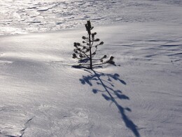 ������, 19 ����� 2009