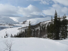 ������, 19 ����� 2009