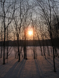 �����������, 12 ������ 2009