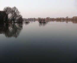 ���� ���, �����������, 12 ������ 2009