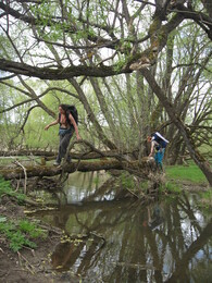 �����������, 9 ��� 2009