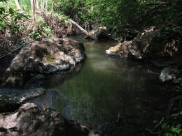 ��������� �������, �����������, 11 ��� 2009