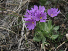 ������������, 13 ���� 2009