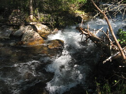 ������������ ������, 8 ���� 2009