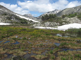 ������������ ������, 9 ���� 2009