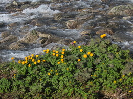 ������������ ������, 10 ���� 2009