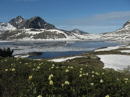 ������������ ������, 10 ���� 2009