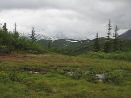 ������������ ������, 13 ���� 2009