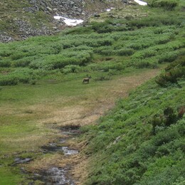 ������������ ������, 13 ���� 2009