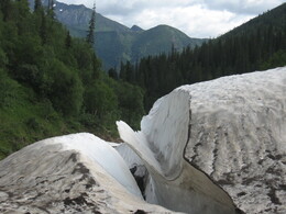 ������������ ������, 14 ���� 2009