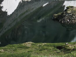 ������������ ������, 16 ���� 2009