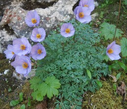 �������������, ������������ ������, 19 ���� 2009