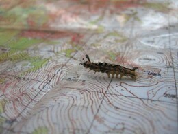 ����-������� ������, 24 ���� 2009