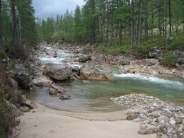 ����-������� ������, 29 ���� 2009