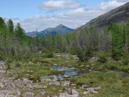 ����-������� ������, 1 ������� 2009