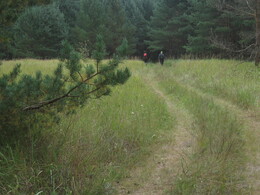 �����������, 22 ������� 2009