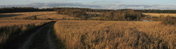 �����������, 10 ������� 2009