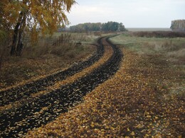 ����������� �������, 17 ������� 2009