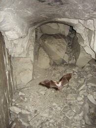 ������� ���� � �������� ���������, ����������� �������, 18 ������� 2009