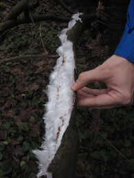 ������� ������, �����������, 5 ������� 2009