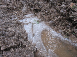 ���, �����������, 6 ������� 2009